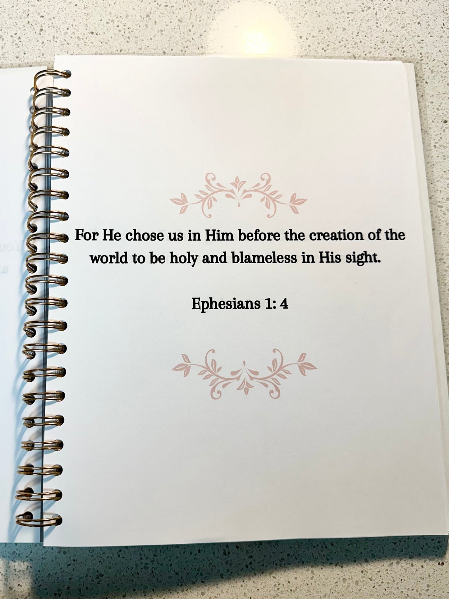 The Virtuous Woman Journal|Proverbs 31 Journal| Valentine Theme | Self-Reflection Journal| Bible Study Journal